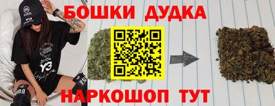 крисы Канаш